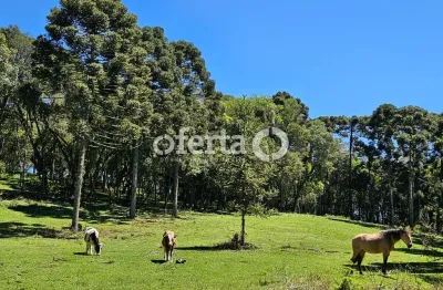 Chácara / sítio à venda em campina das pedras, araucária  por r$ 800.000
