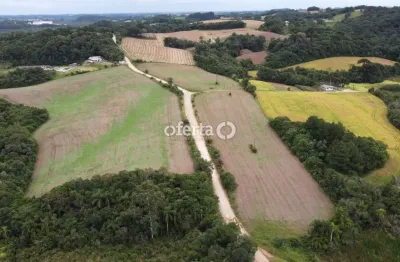 Chácara / sítio à venda no thomaz coelho, araucária  por r$ 550.000