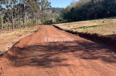 Terreno próximo a chácara do sr. alfredo com energia trifásica