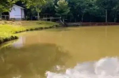 Chácara / sítio à venda no Centro, Catanduvas 