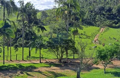Terreno à venda no Paciência, Itajaí 