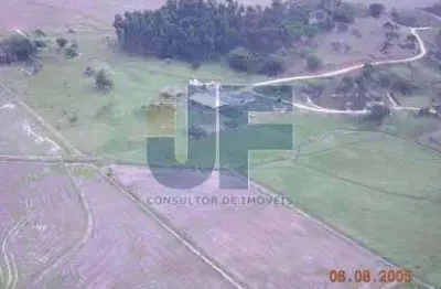 Essa fazenda no bairro penha, em paulo lopes/sc, é uma oportunidade excepcional