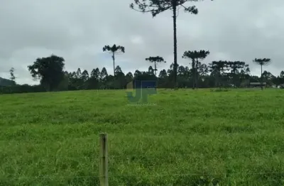 Chácara / sítio com 4 quartos à venda no Centro, Salete 