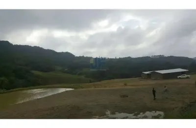 Terreno com pastagem a venda em nova trento com pasto e cahoeira