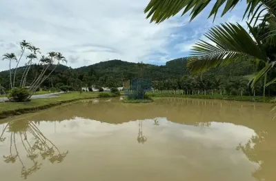 Excelente oportunidade de investimento! sítio/chácara à venda em camboriu.