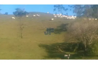 Excelente área com 71 hectares, bairro caetés cidade de camboriú.