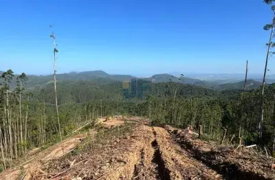 Sítio / chácara para venda no bairro braço em camboriú