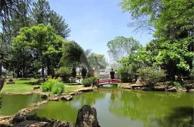 Terreno comercial à venda na Rua Eça de Queiróz, S/N, Termal, Caldas Novas