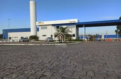 Armazém para alugar em colônia dona luiza, ponta grossa - pr