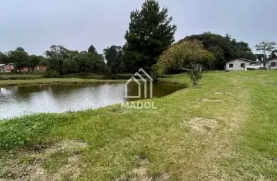 Chácara / sítio à venda na BR 376, s/n, São Luiz do Purunã, Balsa Nova
