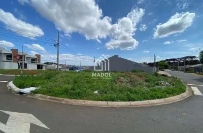Terreno à venda, 200 m² por r$ 220.000 - cará-cará - ponta grossa/pr
