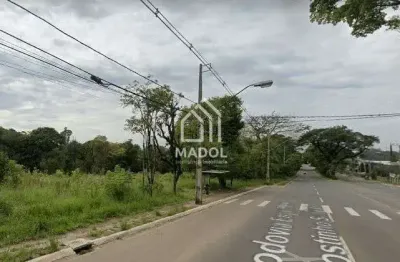 Terreno à venda em colônia dona luiza, ponta grossa - pr