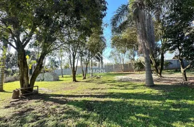 Terreno à venda em colônia dona luiza, ponta grossa - pr