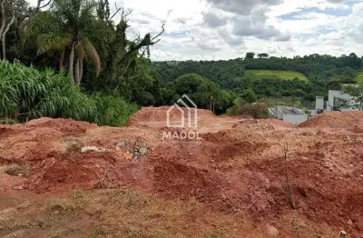 Terreno à venda, 600 m² por r$ 180.000,00 - estrela - ponta grossa/pr