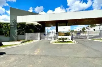 Terreno à venda, 316 m² por r$ 300.000 - orfãs - ponta grossa/pr