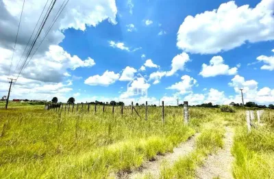 Terreno à venda, 3650 m² por r$ 2.300.000,00 - colônia - carambei/pr