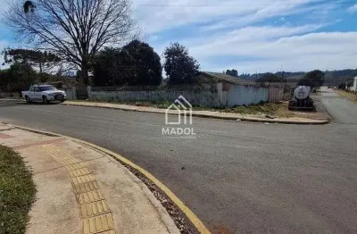 Terreno à venda na Rua Campo Largo Ponta Grossa, 05, Oficinas, Ponta Grossa