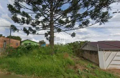 Terreno à venda na Rua Carneiro Ribeiro, 390, Uvaranas, Ponta Grossa
