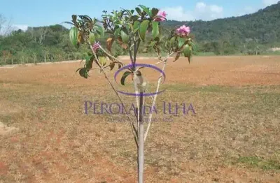 Terreno em condomínio à venda em canasvieiras, florianópolis-sc  420,00m² de área