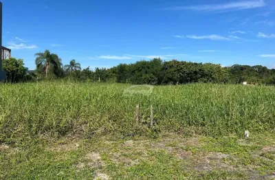Terreno plano 350 metros - 12 x 25 em rua privativa em rotula