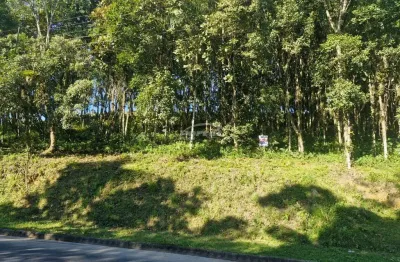 Terreno com 524,47 m², no bairro fortaleza alta em blumenau!