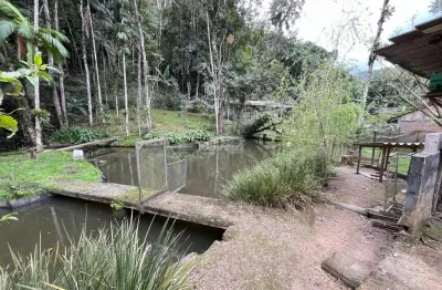 Chácara / sítio com 3 quartos à venda na Rua Henrique Setter, 955, Itoupava Central, Blumenau