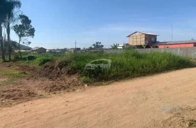 Terreno plano em itajuba, barra velha, 306 metros quadrados