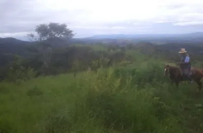 Chácara / sítio à venda na Rua Francisco Santos Reis, 6500, Pedregulho, Guaratinguetá