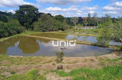 Sítio com 6 dormitórios à venda, 52000 m² por r$ 1.300.000,00 - zona rural - boa esperança/mg