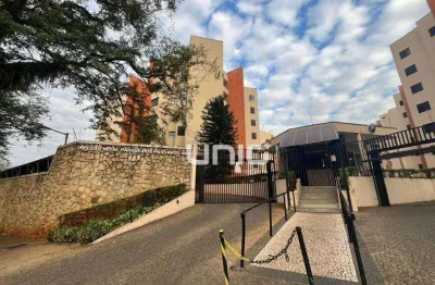 Apartamento para alugar no edificio residencial parque dos pássaros