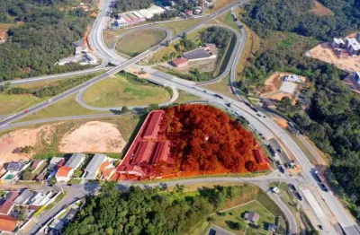 Terreno com 14.800,00m² para locação na rodovia doa minérios em almirante tamandaré/pr