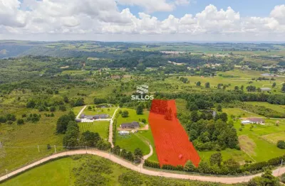Terreno com 20.000,00m² à venda em são luiz do purunã/pr