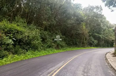 Terreno à venda com 66.589 m² de área total no bairro ferraria em campo largo/pr