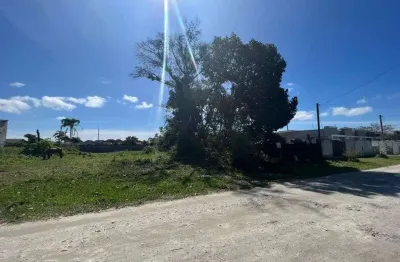 Terreno com escritura e registro de imóveis - medindo 396m².