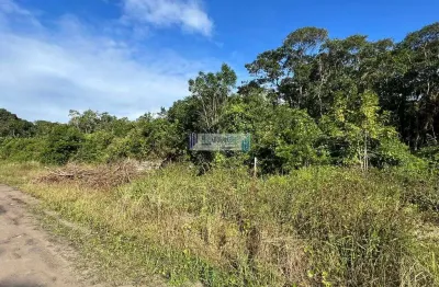 Terrenos para venda com escritura e registro de imóveis - região de moradores.