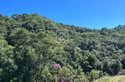 Terreno à venda no Rio das Antas, Rancho Queimado 