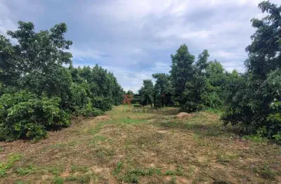 Sítio à venda, 45.000 m² por R$ 1.200.000 - Área Rural - Monte Mor/SP