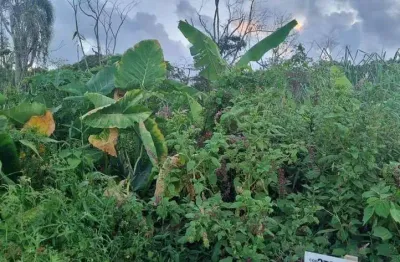 Lote a venda em itapoá - balneário saí mirim 360,00 m².