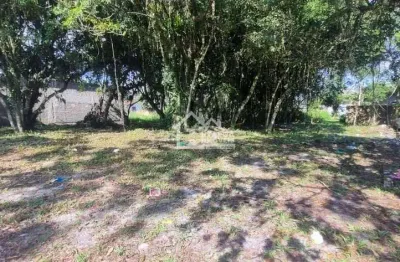 Terreno de 537,00 m² em itapoá/sc - próximo ao colégio monteiro lobato