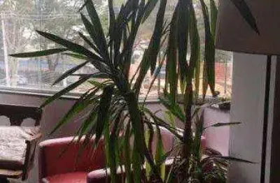 Apartamento com 4 dormitórios à venda, 113 m² por r$ 1.070.000,00 - campo belo - são paulo/sp