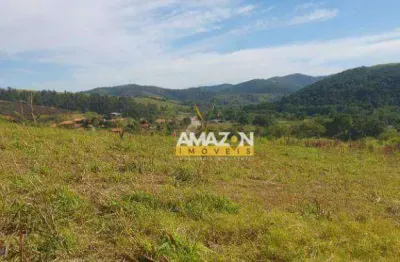 Terreno à venda, 21000 m² por r$ 220.000,00 - chácara são félix - taubaté/sp