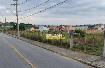 Terreno, 9000 m² - venda por r$ 18.000.000,00 ou aluguel por r$ 80.000,00/mês - vila jaboticabeira - taubaté/sp