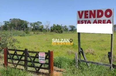 Área à venda, 24666 m² por r$ 31.375.000,00 - barranco - taubaté/sp