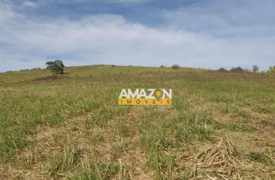 Área à venda, 21000 m² por r$ 220.000,00 - registro - taubaté/sp