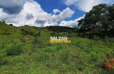Área à venda, 21000 m² por r$ 600.000,00 - registro - taubaté/sp