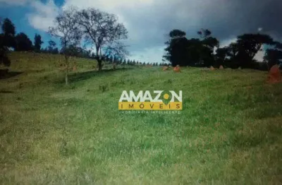 Chácara à venda, 216000 m² por r$ 700.000,00 - retiro - redenção da serra/sp