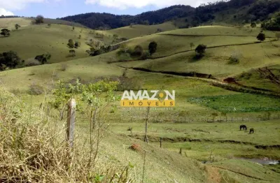 Área à venda, 350 m² por r$ 1.450.000,00 - zona rural - são bento do sapucaí/sp