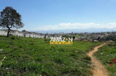 Terreno à venda, 10000 m² por r$ 2.500.000,00 - fonte imaculada - taubaté/sp