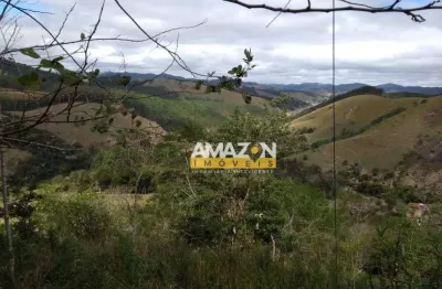 Sítio com 1 dormitório à venda, 100000 m² por r$ 440.000,00 - zona rural - natividade da serra/sp