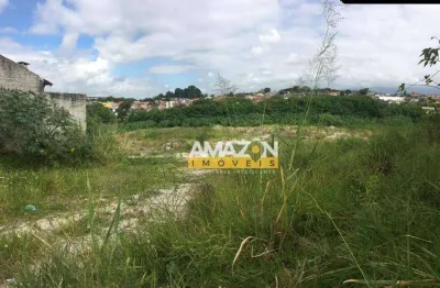 Área à venda, 15000 m² por r$ 3.750.000,00 - jardim são benedito - taubaté/sp